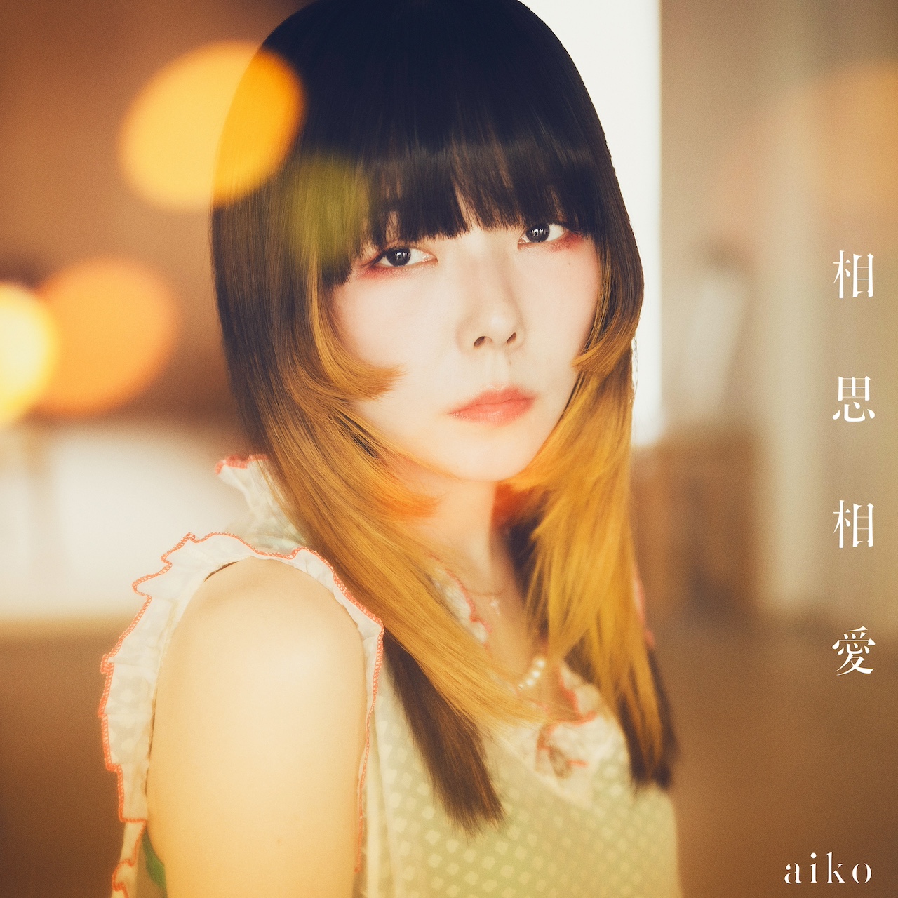 DVD Secrets｜aiko official website